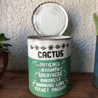 リメイク缶[中]＊cactus＊みどり