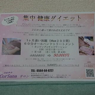 健康ダイエットモニターあと５名👍全身トリートメント20回ついて5...