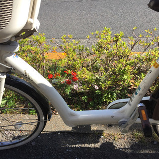 更に最終値下げ＊アンジェリーノ ホワイト 非電動自転車 後ろ子乗せ無し