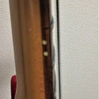 ソロイストタイプ　中古の画像