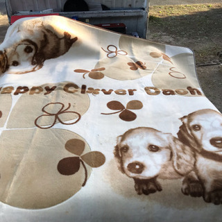 センターラグ 犬柄 185㎝×185㎝