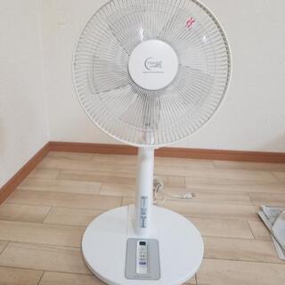 扇風機　19日まで