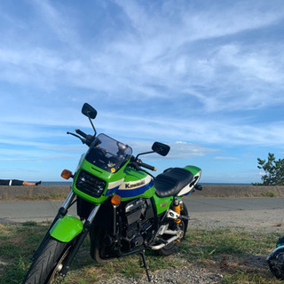 ZRX1100