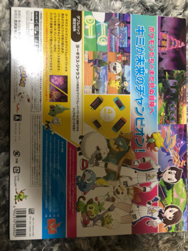 新品 ポケモンセンター限定　ポケットモンスター　ソード・シールド ソフトダブルパック予約特典　フィギュア2点＋オリジナルアートブック