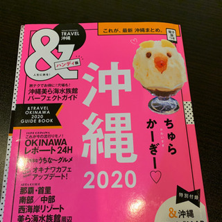 沖縄2020年度ハンディ版
