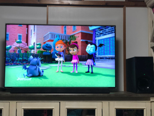 4K50型TV 保護パネル スピーカーset