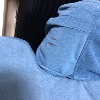 ソファ（無料です）の画像