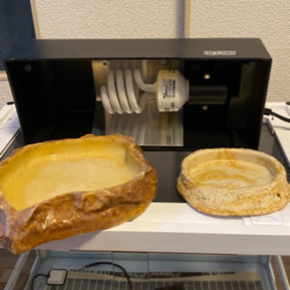 【最終値下げ】爬虫類ケージ（パンテオン WH 4530）＋αの画像