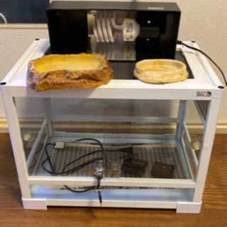 【最終値下げ】爬虫類ケージ（パンテオン WH 4530）＋α