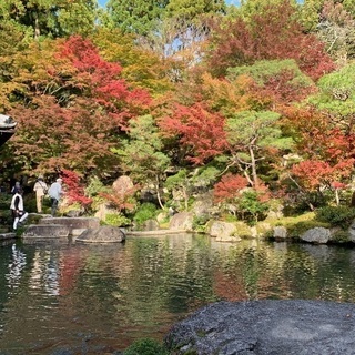 滋賀 観光 − 滋賀県