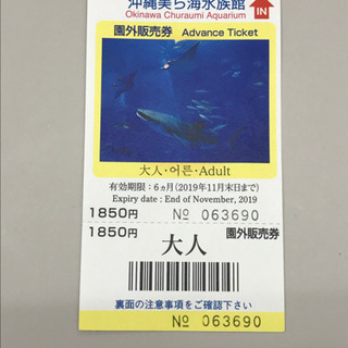 沖縄美ら海水族館の大人用チケット 値段交渉ok