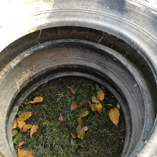 スタッドレスタイヤの画像