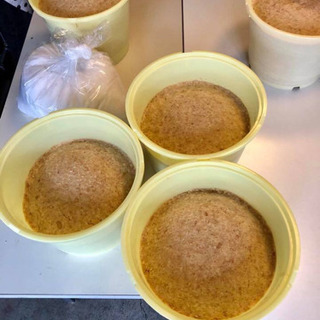 いかりみそ直伝味噌作りと厚木産ミツロウのハンドクリーム作り - 厚木市