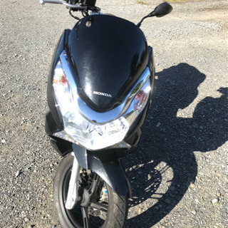 PCX125 の画像