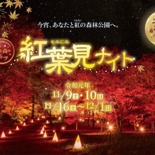 11月17日　国営武蔵丘陵森林公園の紅葉　ライトアップ　入場券