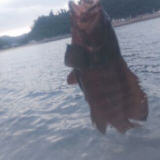 🎶ミニボートで遊ぼぅ～🚤 - 友達