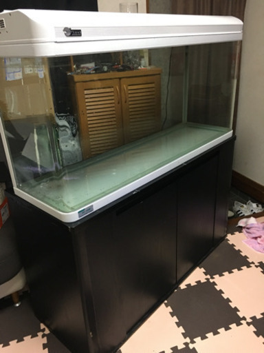 120水槽セット  今日か明日引き取りの方