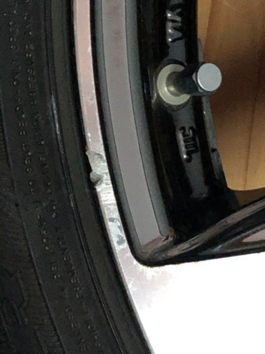 19インチ　ロクサーニF 10