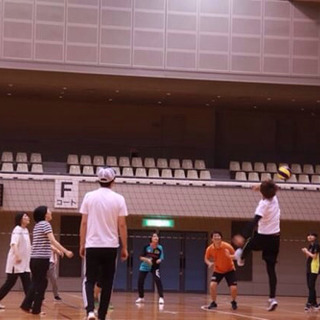 バレー友達募集！