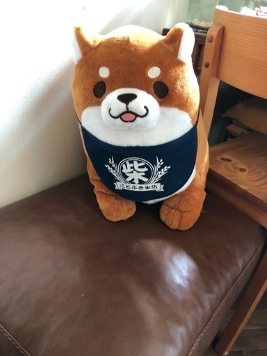 ネビオのソノバdeゲート