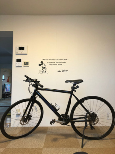 クロスバイク　ルイガノ　LOUIS GARNEAU 3×8の24段切り替え【美品中古】