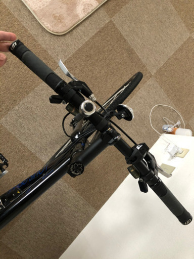 クロスバイク　ルイガノ　LOUIS GARNEAU 3×8の24段切り替え【美品中古】