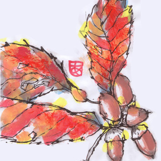 【単発講座】「百均の画材で絵手紙を描こう」