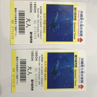 【2枚で】沖縄美ら海水族館のチケット大人用