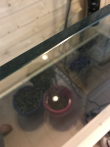 ガラス水槽90センチ