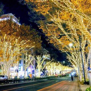 11/28~12/25期間限定・単発OK☆彡表参道イルミネーションの運営スタッフ大募集♪単発も週5もOKの希望シフト制♪友人同士での応募も大歓迎！短期で働きたい方～イベントの仕事に興味がある方！毎日いろんなお仕事あります☆の画像