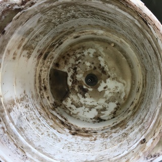 日立7.0K洗濯機2015年製　分解クリーニング済み！！！の画像