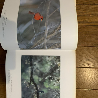 本の画像