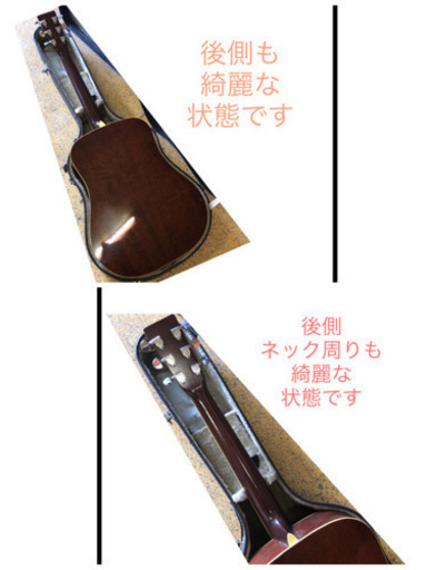 cat's Eyes フォークギター CE-350S