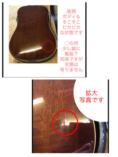 cat's Eyes フォークギター CE-350S