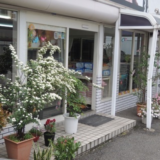 スタッフ募集　子犬の世話　犬舎の清掃　勤務日 平日・土日　2日～4日程　 勤務時間10時～13時　13時～17時　10時～17時　時給１，０００円＋能力給の画像