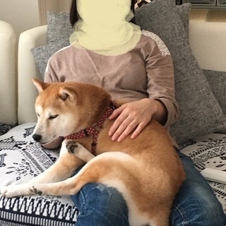 一旦停止致します。