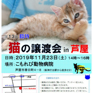 11月23日阪神打出 譲渡会
