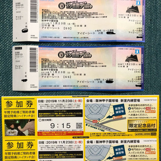 阪神タイガースファン感謝デー2019 アイビー