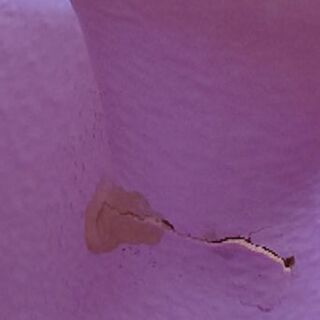 バンボ(ベビー用椅子)(中古)の画像