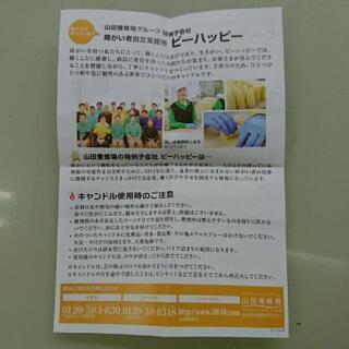 ビーハッピーキャンドル  山田養蜂場グループの画像