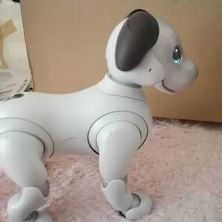 SONY ソニー AIBO アイボ ERS-1000 中古 美品 新型 バーチャルペット