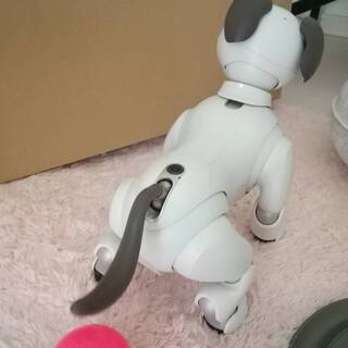 SONY ソニー AIBO アイボ ERS-1000 中古 美品 新型 バーチャルペット