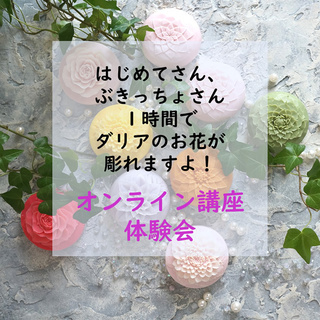 わかりやすい動画を大量にみられるのはカービングプラスのオンライン講座の画像