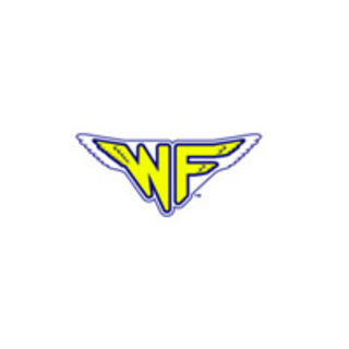 草加・谷塚・新田・蒲生・川口 キッズチアダンスチームWINGFLAPですの画像