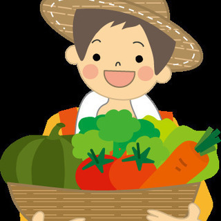 空いた時間を有効活用！野菜の出荷補助のお仕事です。