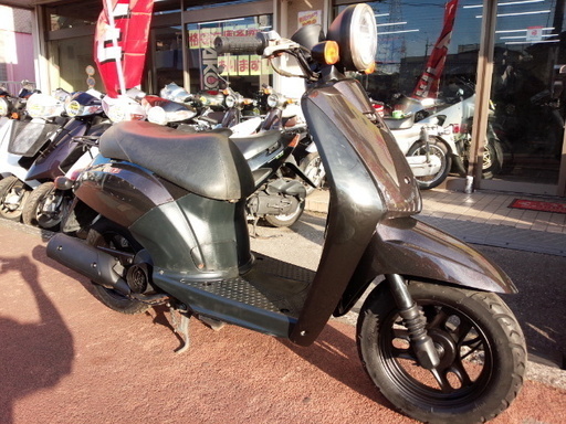 NO.2988　トゥデイ （ＴＯＤＡＹ）　４サイクルエンジン　ブラウンメタリック　☆彡