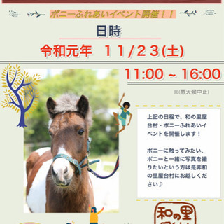 《和の里屋台村》ポニーふれあいイベントまたまた開催します♪