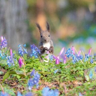 楽しく真面目に写真、カメラグループやりましょう😊