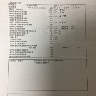 高月給月55万円 旅行気分な仕事 生活費10万現地支給 向こうでは大富豪並の生活可能な額の画像