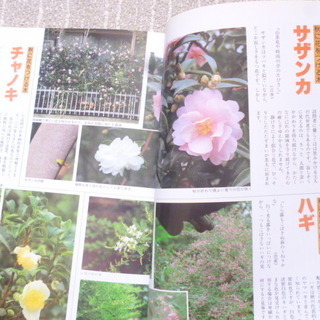 「これだけは防ぎたい病気と害虫120」「やさしい庭木辞典２」「やさしい庭木辞典３」の3冊まとめての画像
